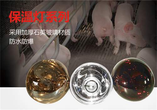 畜牧養(yǎng)殖專用保溫燈