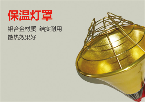 畜牧養(yǎng)殖專用保溫燈